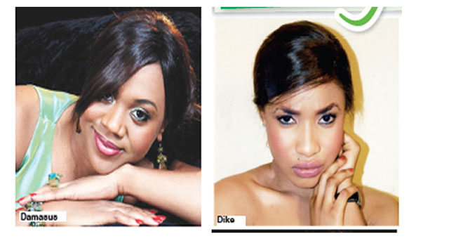 Tonto-Dike-Stella-Damasus