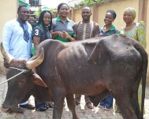 L-R: Mr. Adeyemi Opene of eTranzact, Mrs. Oluwaseyi Ijaola of Heritage Bank Limited, Mr. Otaru Sadiq, winner of Cow, Mrs. Betty Eriyo and Miss Abimbola Feyisetan both of Heritage Bank at the presentation of the cow to Sadiq, a customer of the bank that won the star prize during the HB Mobile Christmas give away powered by eTranzact in Lagos… recently