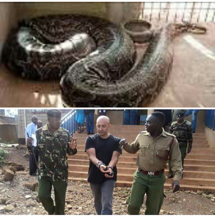 deadly white men africans