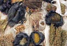 Expert highlights Herbal medicine’s benefits OrijoReporter.com, Herbal medicine's benefits