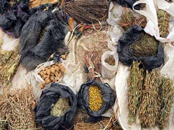 Traditional-medicine-herbs OrijoReporter.com, Herbal medicine's benefits