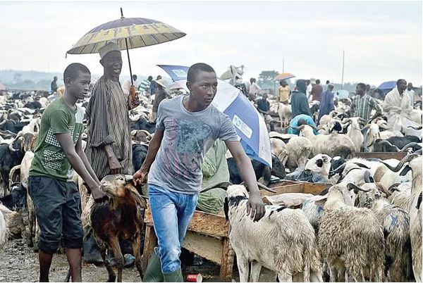 sallah OrijoReporter.com, public holidays