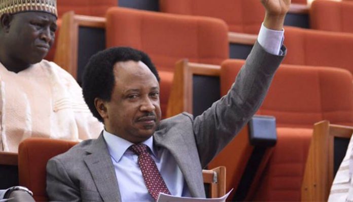 Shehu-sani OrijoReporter.com, Shehu Sani
