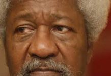 2023 Presidency: Soyinka denies alleged support for Tinubu