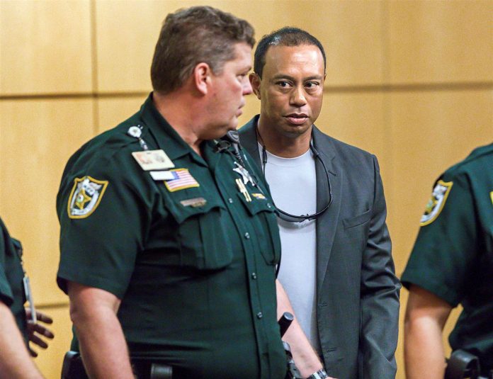 tiger woods OrijoReporter.com, Tiger Woods
