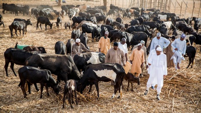 buhari