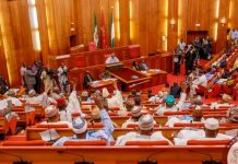 The role of NILDS in nation-building By Jide Ayobolu