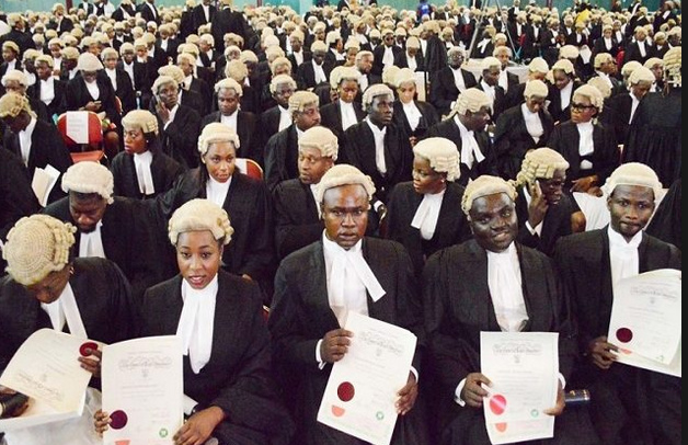 lawyer