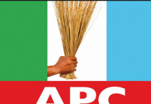 APC Kaduna LG Chair killed