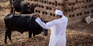 OrijoReporter.com, different types of herdsmen