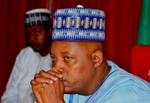 OrijoReporter.com, Governor Kashim Shettima’s cook