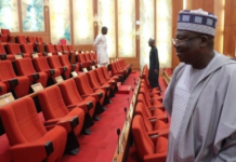 Senators receive over N30m each as Welcome package – Report