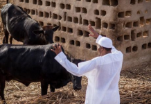 2023: Buhari will leave office to face cows – Babachir Lawal