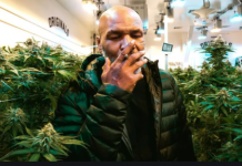 Mike Tyson reveals he smokes $40k cannabis monthly
