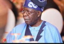 2023: Afenifere deny endorsing Tinubu