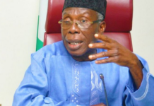 North’s only industry is politics – Ex-minister, Audu Ogbeh