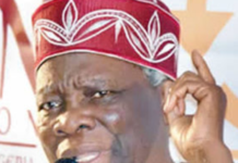Stop deceiving yourself, Prof. Akintoye tells Tinubu