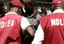 2023: Aspirants must undergo drug test – NDLEA