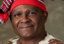 Nnamani: Tinubu’s Campaign reverses self