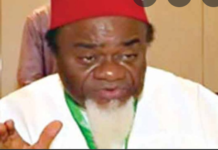 2023: Only persons with mental problem would vote for Tinubu – Ezeife