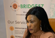 Expert wants more Investments In Technology OrijoReporter.com, Roseline Ilori