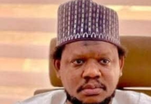 Ex-APC Presidential Aspirant tells CBN to Retain Arabic, others In New Naira Notes