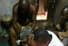 Herbalists & Why I sponsored Doctors’ relocation restriction bill — Rep member
