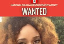 NDLEA declares beauty queen wanted for alleged drug trafficking