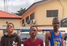 3 Persons Arrested for staging street carnival in Lagos