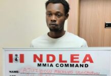 Court Jails Airport Worker Who Attempted Planting Drug In Passenger’s Bag