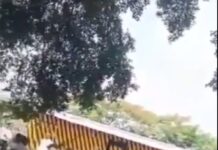 Customs Investigating Officers’ fight With VIO Operatives