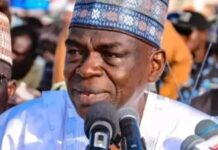 Miyetti Allah Demands Establishment of Livestock Ministry