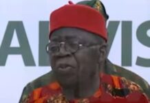 Investors are coward — Tinubu