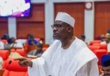Those in Tinubu’s govt are thieves, incompetent — Ndume
