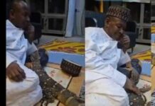 Kano reacts to dangerous animals living with Ex-AGF who is under investigation for N109b fraud