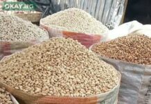 Video: Beans farmers reacts to alleged use of cement for preservatives