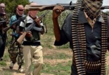 Another 3 Katsina LGAs sign peace pact with bandits