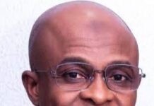 Appraising Dantsoho and His Ports Management Strategy, by Joseph Onwe