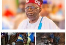 Nigeria’s Inflation Drop: Has Life Become Any Easier?, by Blaise Udunze