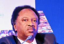 Shehu Sani expresses concern about Tinubu’s Presidency