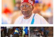 139M Poor, Yet Counting “Progress”: Nigeria’s Poverty Crisis Demands More Than Policy, by Blaise Udunze