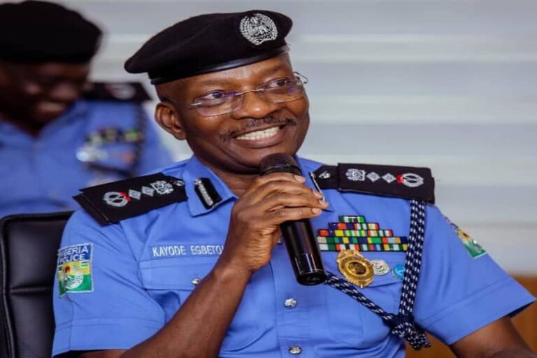 An Uneasy Head Wears The Crown: IGP Kayode Egbetokun’s Commitment Amid Distractions, by Adewole Kehinde