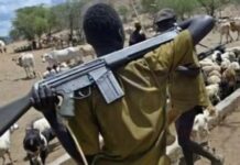 Gombe Gov blames insecurity on herdsmen marginalisation