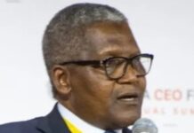It pains me whenever I see private jets parked — Dangote