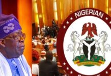 Tinubu’s request to deploy troops to Benin gets Senate Approval