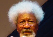 I once reported Seyi Tinubu to Ribadu — Soyinka