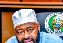 Niger Gov blames 2027 election for not Sacking unproductive officials