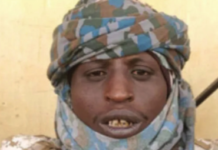 Wanted bandit leader blames ex-govs for insecurity