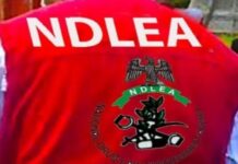 NDLEA Arraigns Congolese Man For Trafficking In Hard Drugs