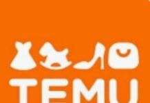 FG accuses Temu of violating data protection law